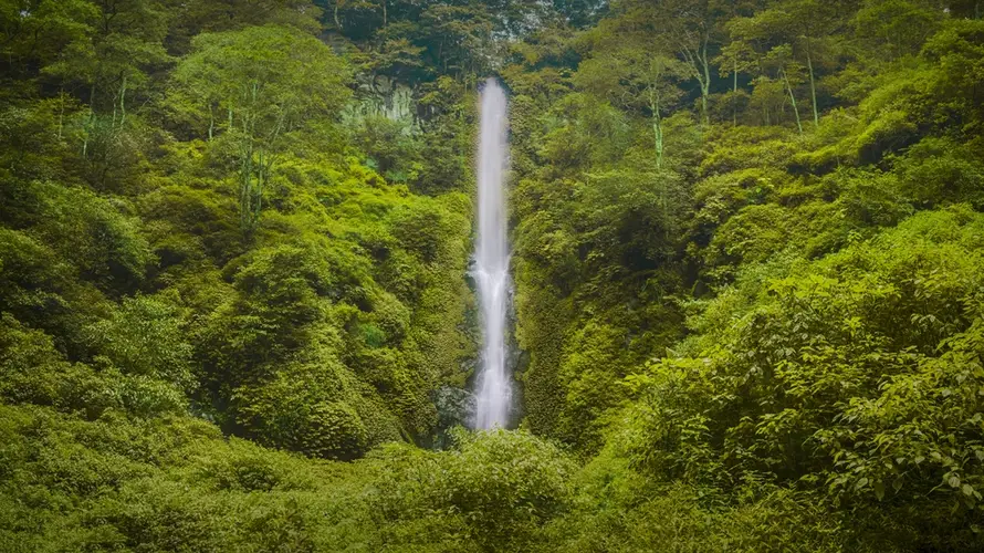 Coban Rais